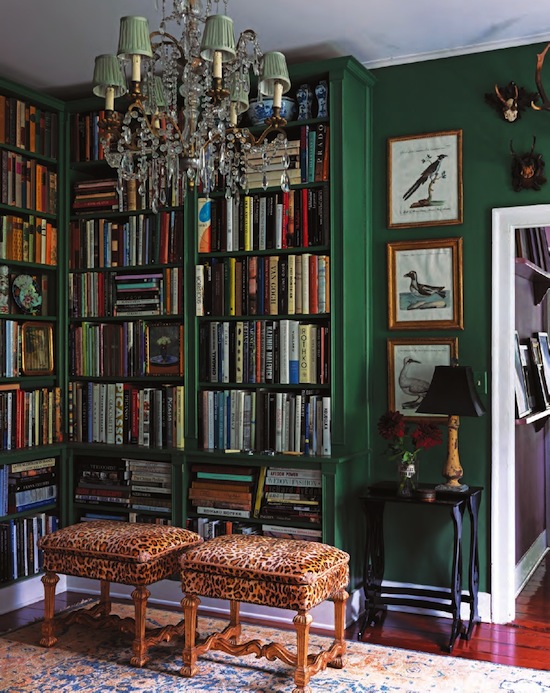 emerald-green-and-leopard library