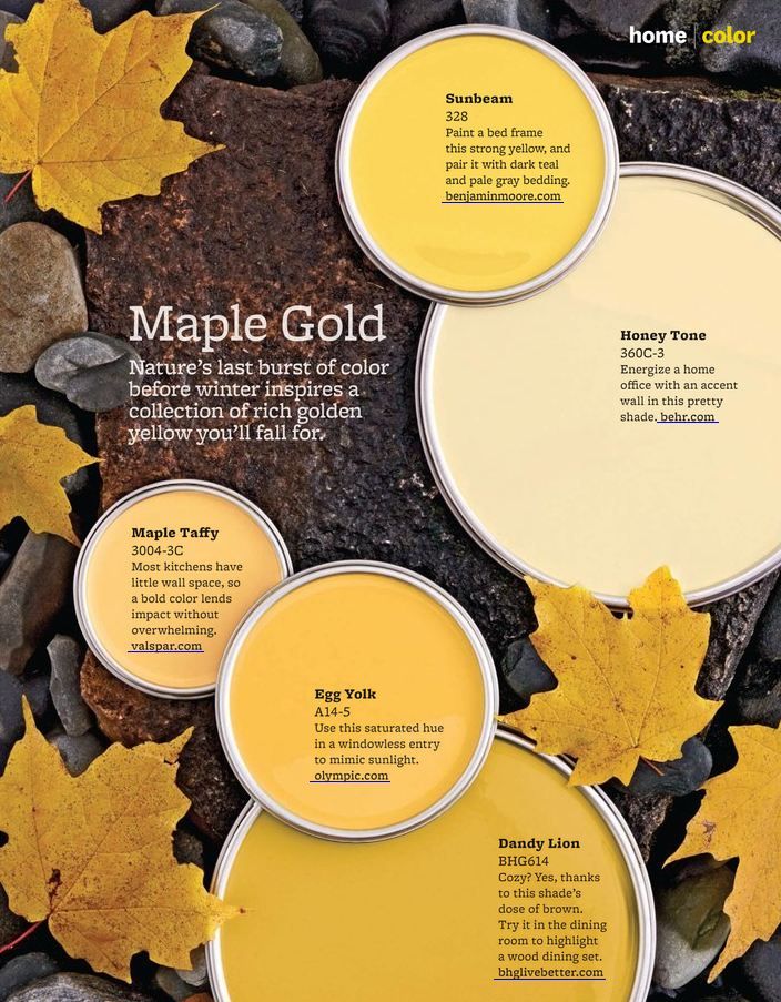 maple gold - yellow paints interior