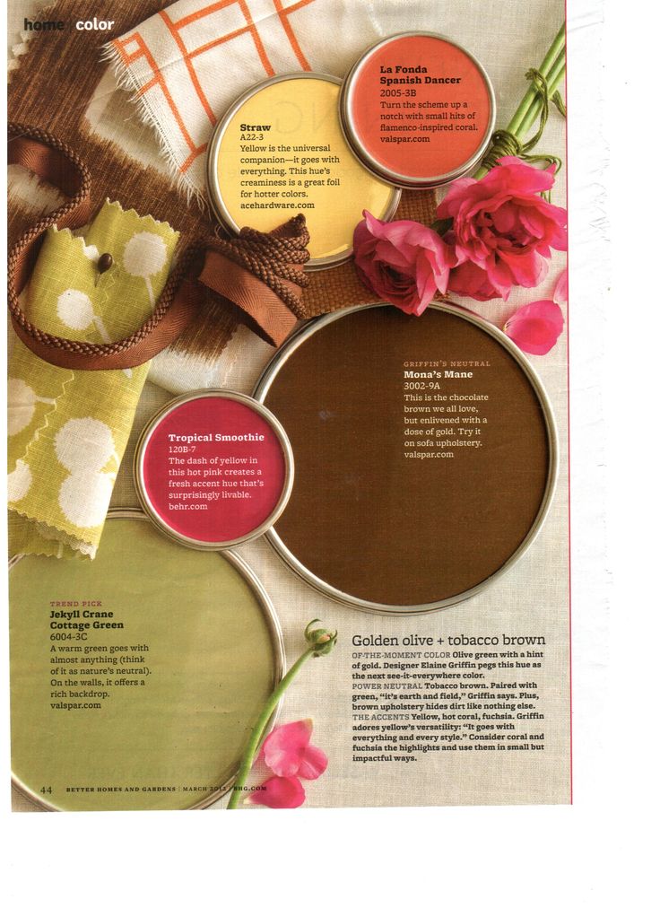 olive and brown paint palette
