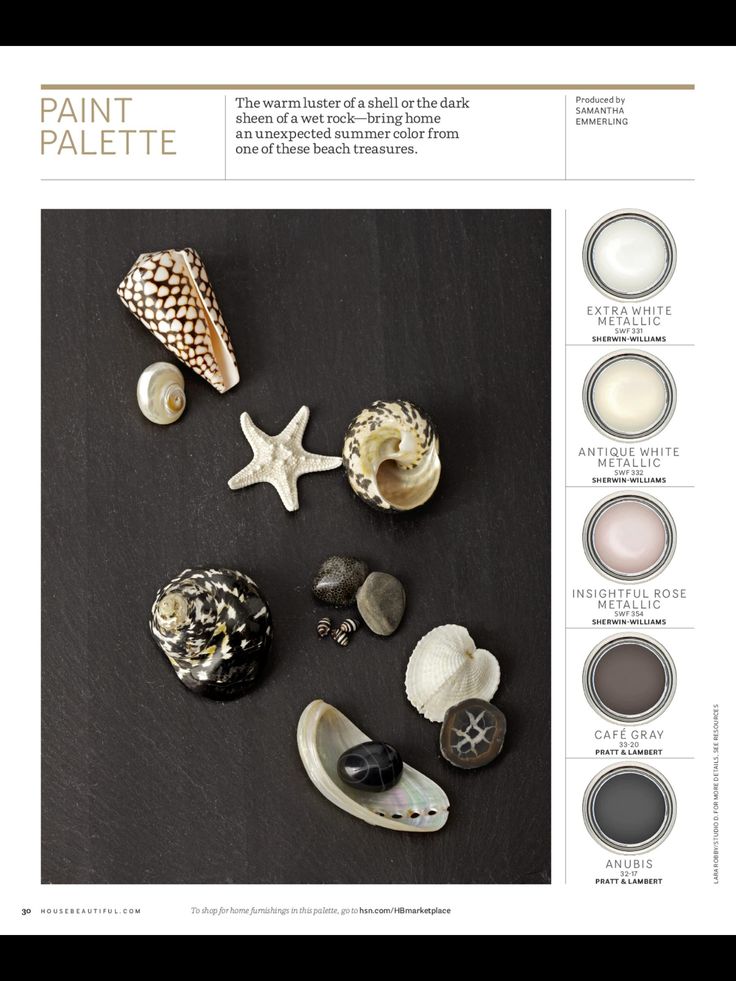 shell colored neutral paint palette home