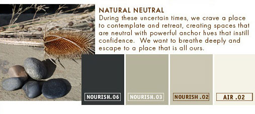 natrul-neutral-t-paint-color-palette