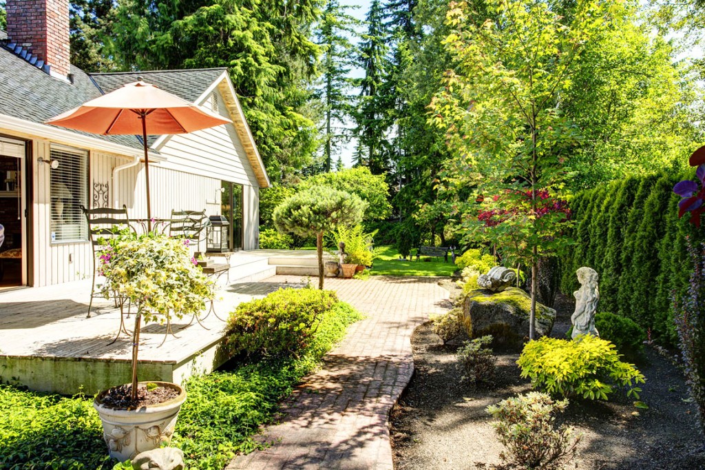 A Home with European Flair yard