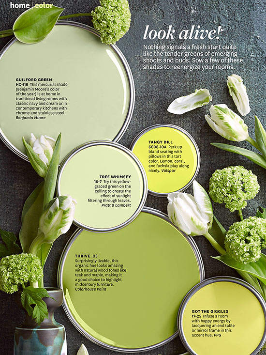 Better Homes and Gardens April 2014 Paint Palette green