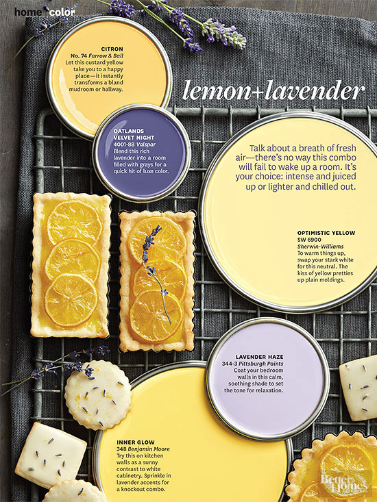 Better Homes and Gardens February 2014 Paint Palette in Lemon & Lavender