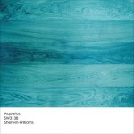 Aquarius by Sherwin-Williams