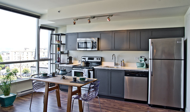 modern kitchen painted in Benjamin Moore's Gray 2121-10