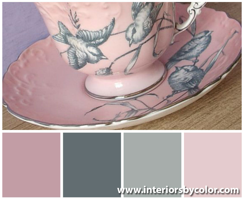 Pink and Gray Color Palettes