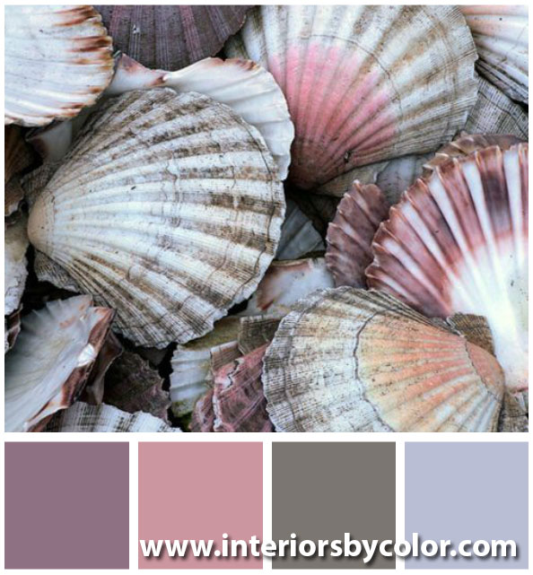 pink gray seashell color palette http://www.interiorsbycolor.com/