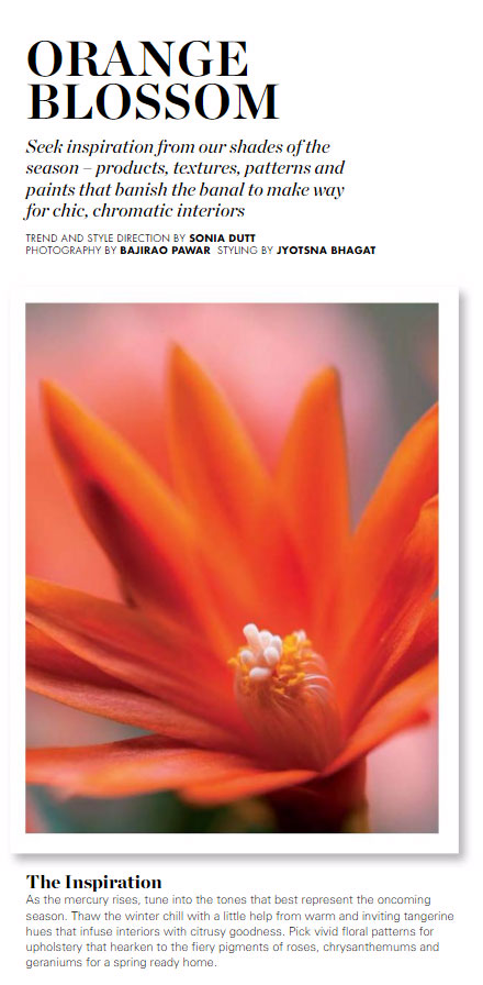 Paint Palette - Orange Blossom