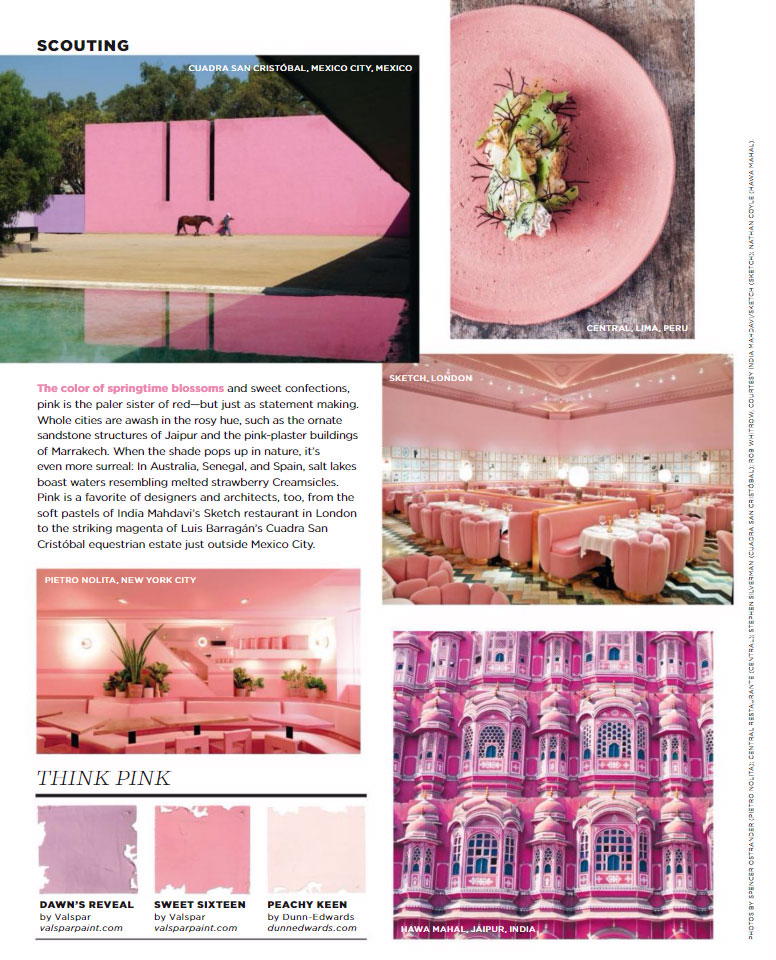 Pink Paint Color Scheme 2017