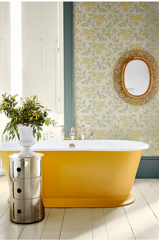 Little Greene Mister David painted bath