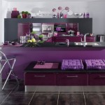 Purple Contemporary Kitchen