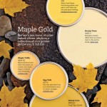 Maple Gold Paint Colors