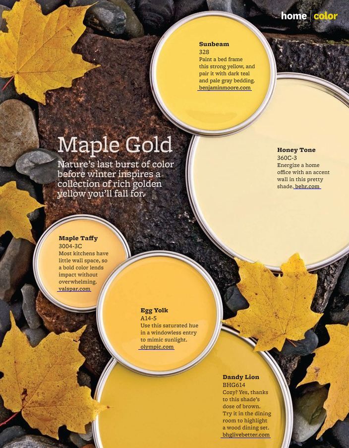 Maple Gold Paint Colors Interiors By, Warm Gold Paint Colors