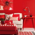 Fiesta Red Interior