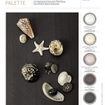 Warm Beach Neutral Paint Palette