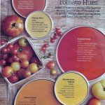 Tomato Hues Paint Colors