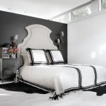 Black, White and Taxidermy