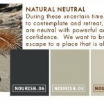 Natrul Neutral Greys Paint Palette