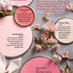 Paint Palette - Pink Blossom
