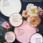 Paint Palette - Rose Pink