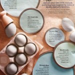 Eggshell Blues Paint Palette