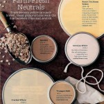 Paint Palette - Farm-Fresh Neuatral