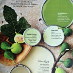 Paint Color Palette - Earthy Greens