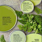 Paint Palette - Fern Greens