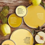 Ripe Yellows Paint Palette
