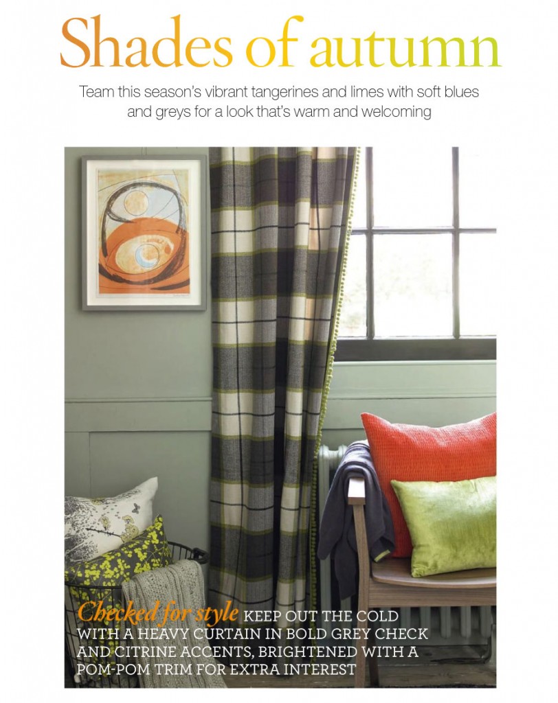 Checked Curtain