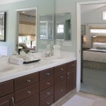 Hotel Inspired Master Bath in Palladian Blue