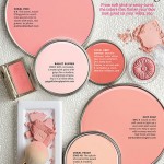 Better Homes and Gardens January 2014 Paint Palette - We're Blushing