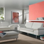 Accent Wall in Coral