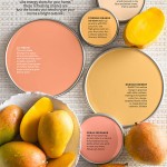 Paint Palette - Luscious Mango