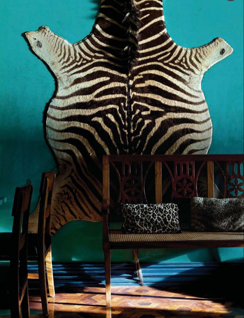 Zebra Rug on Turquoise Wall