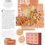 Paint Color Palette - Orange Crushed