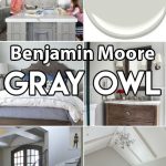 Benjamin Moore Gray Owl Paint Color Ideas