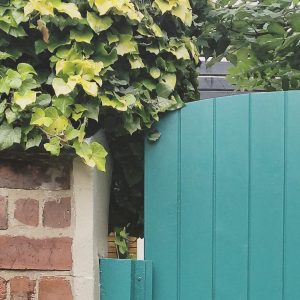 Farrow & Ball Vardo painted front door