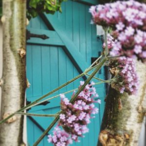 Farrow & Ball Vardo painted front door