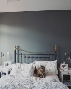 Farrow and Ball Downpipe bedroom feature wall - click on image to see more examples
