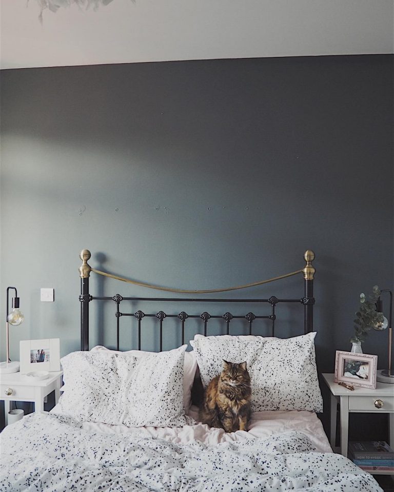 Farrow and Ball Downpipe Bedroom Walls Interiors By Color