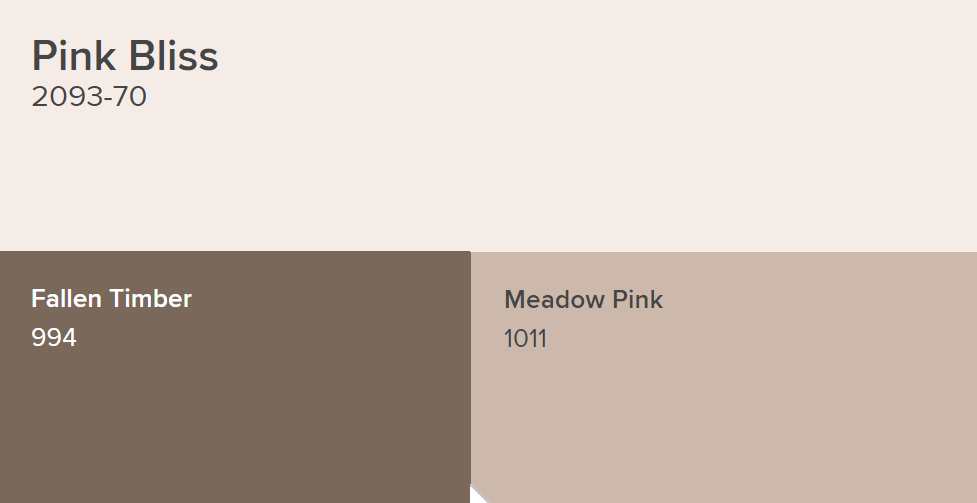 Benjamin Moore Pink Bliss Paint Color Schemes Fallen Timber and Meadow Pink