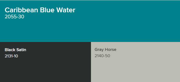 Benjamin Moore Caribbean Blue Water goes with Black Satin and Gray Horse