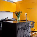 Modern Kitchen in Mustard Yellow Color Scheme. Yellow kitchen cabinets