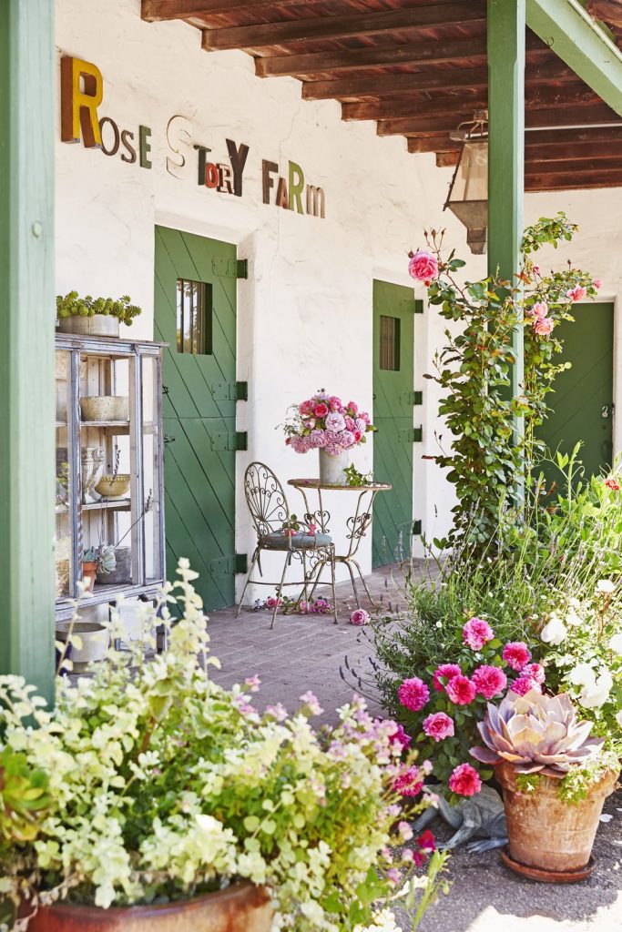 Patio backyard with planters and potting