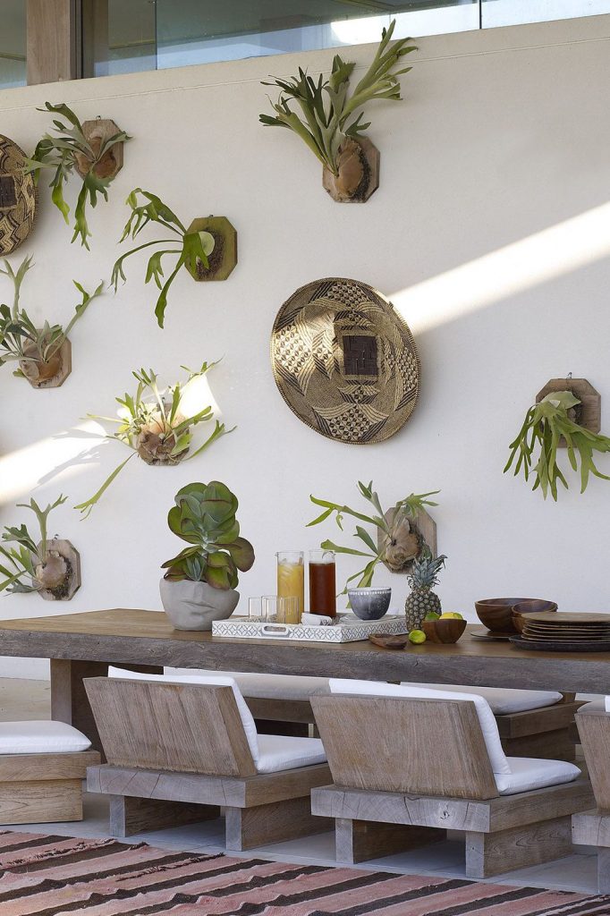 Staghorn ferns adorn the walls of this patio