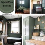 Benjamin Moore Backwoods 469.