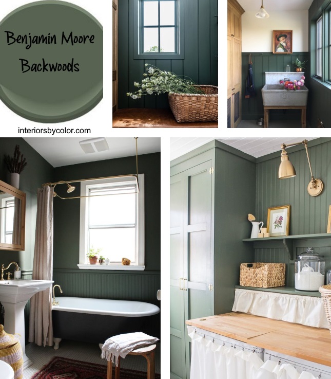 Benjamin Moore Backwoods 469.