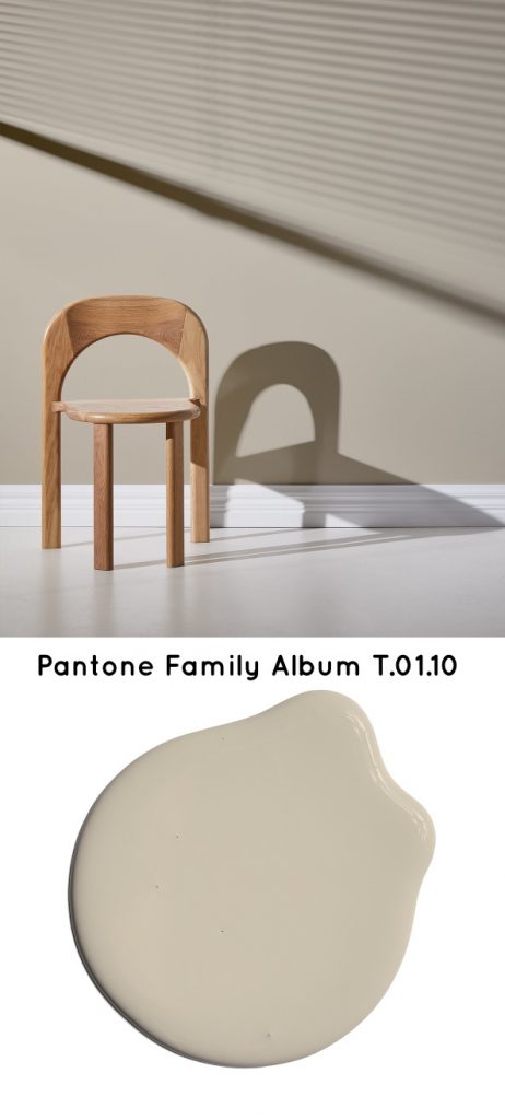 Pantone Family Album T.01.10 Neutral paint color 2020